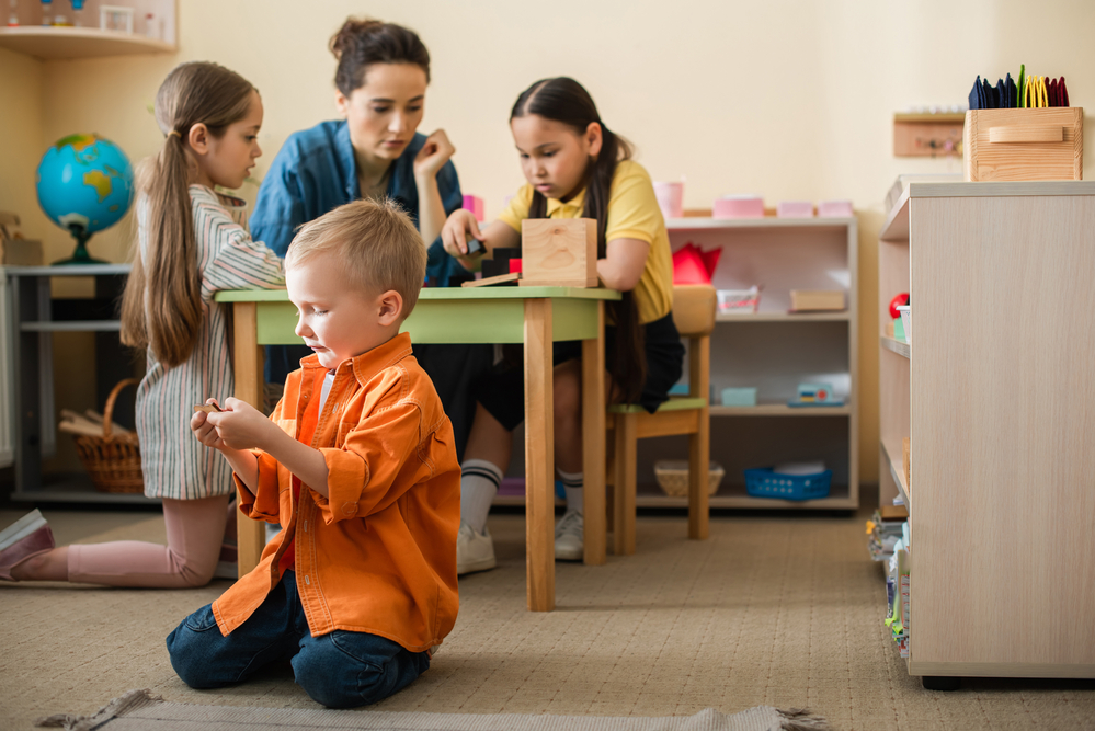 Montessori Technique And Delicate Period For Learning