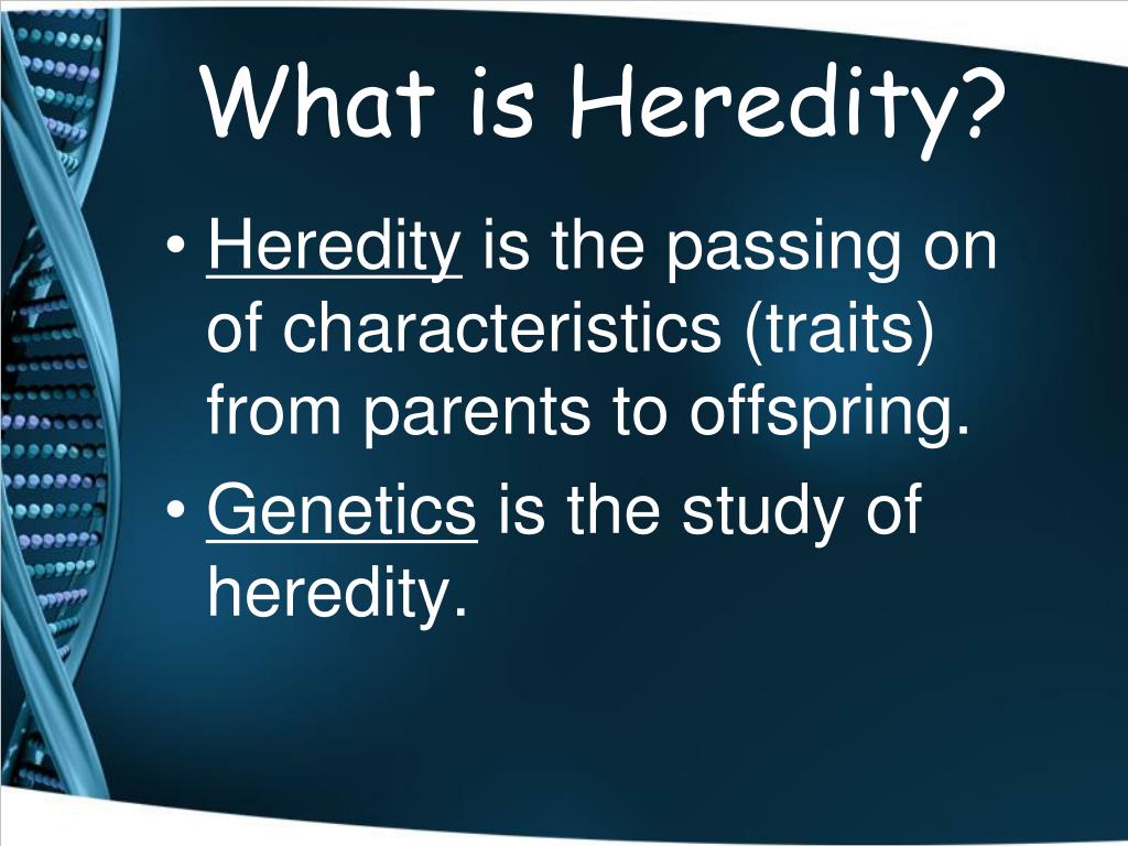 About Heredity