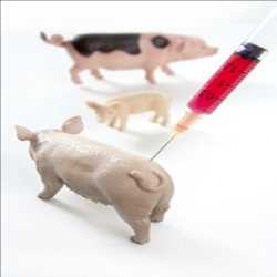 Global Classical Swine Fever Vaccines Market