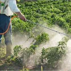 Global Organophosphate Pesticides Market