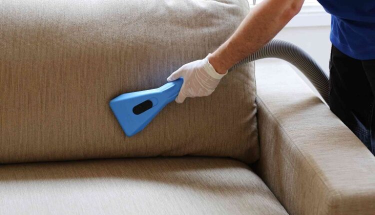 The Top 5 Couch Cleaning Services in Erina